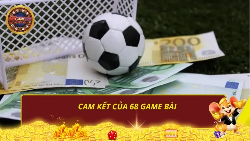 Về chúng tôi và hành trình phát triển điểm cược