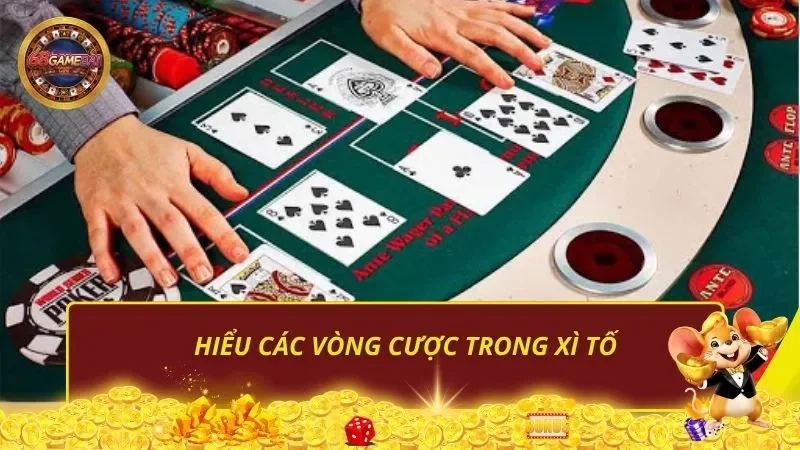 Hiểu các vòng cược trong Xì Tố